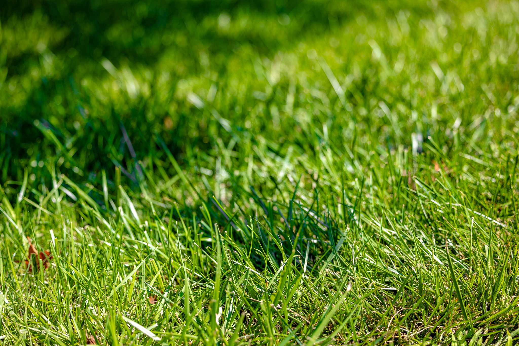 Central Indiana Lawn Care: Don't Miss Out On The Short Aeration Season 